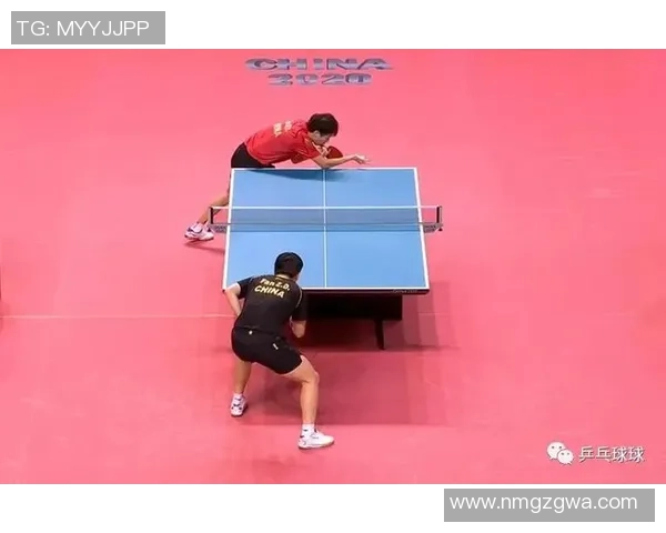 乒乓球深度解析西安乒乓球队如何实现整体压制与战术优势